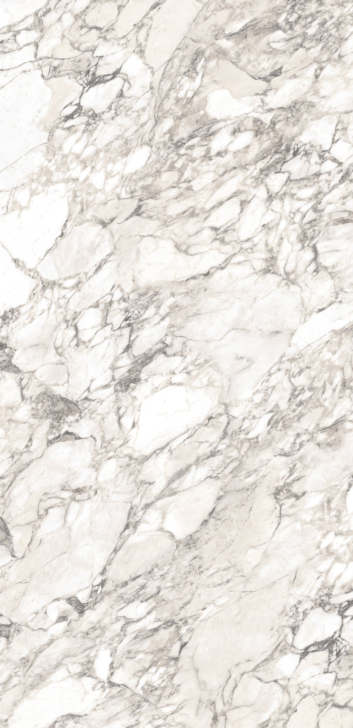 Porcelain Color: Arabescato, face 2